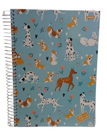 CADERNO C.D. 15X1 UMA STELLA